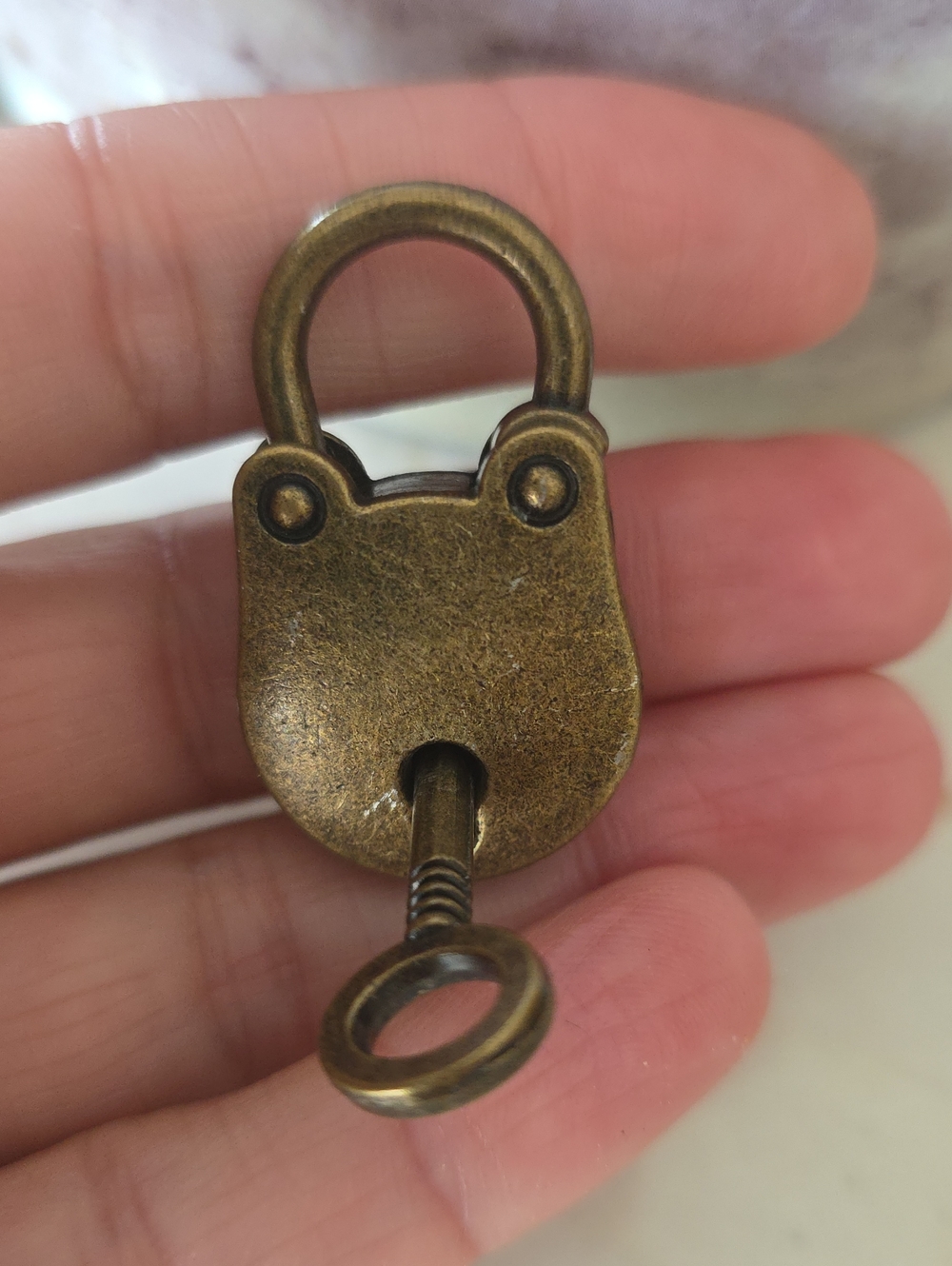 Antique Pet Brass Small Lock